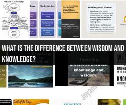 Wisdom vs. Knowledge: Understanding the Difference