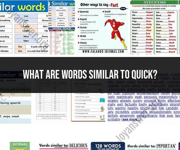 Words Similar to "Quick": Synonyms and Related Terms