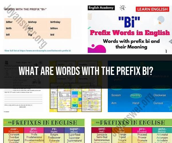Words with the Prefix "Bi": Vocabulary Exploration