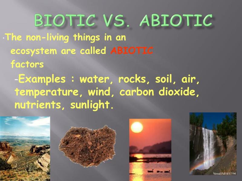 Abiotic vs. Biotic: Distinguishing Living and Non-Living Elements