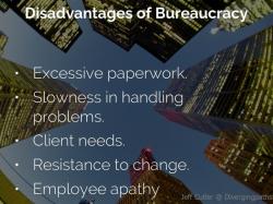 Advantages of Bureaucratic Organizations: Exploring Benefits