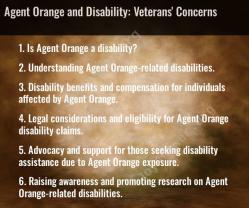 Agent Orange and Disability: Veterans' Concerns