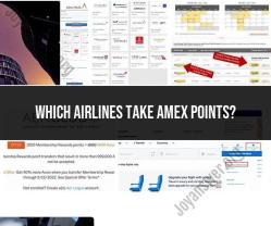 Airlines that Accept Amex Points: Loyalty Programs
