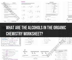 Alcohols in Organic Chemistry Worksheet: Comprehensive Study