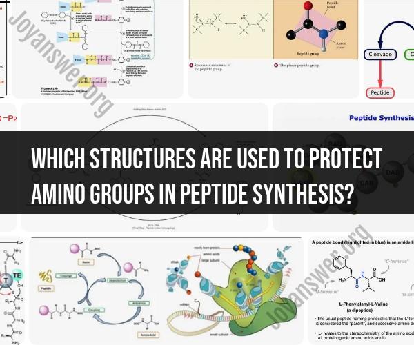 Amino Group Protection in Peptide Synthesis