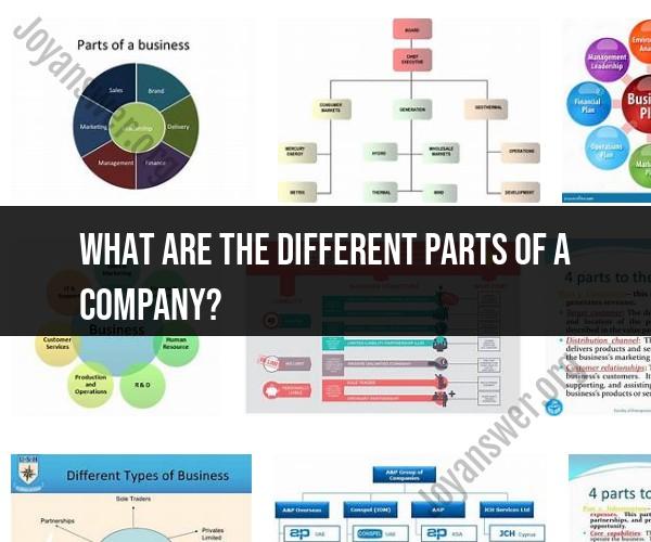 Anatomy of a Company: Understanding Its Different Parts