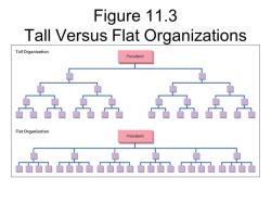Anatomy of Organizational Structure: Fundamental Elements