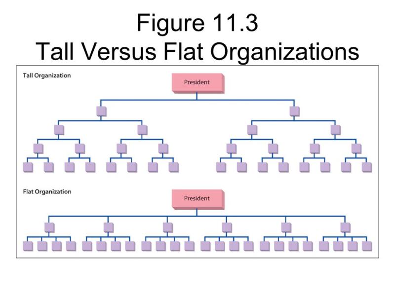 Anatomy of Organizational Structure: Fundamental Elements