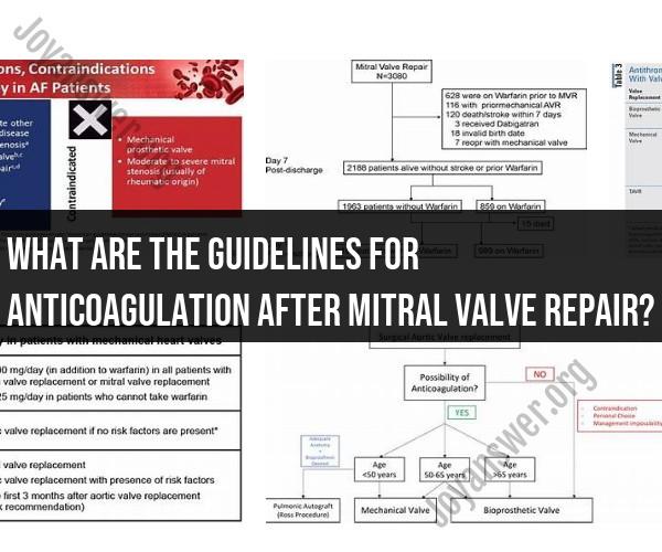 Anticoagulation Guidelines After Mitral Valve Repair