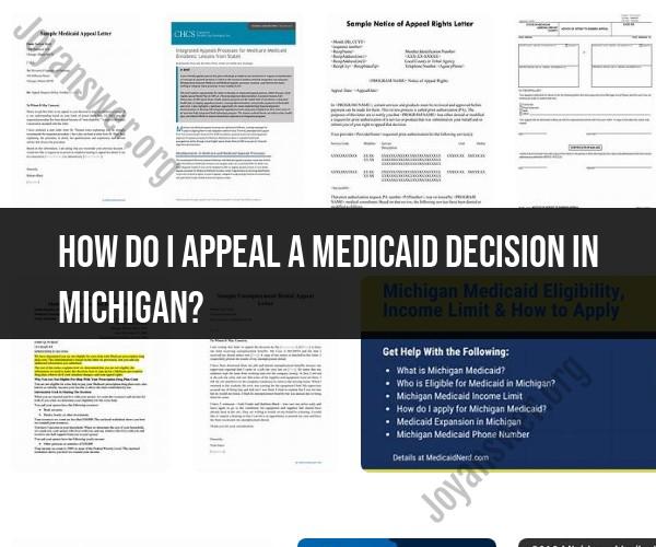 Appealing a Medicaid Decision in Michigan: Process Details