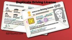 Applying for a Duplicate or Replacement License: Step-by-Step Guide