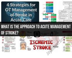 Approaching Acute Stroke Management: Critical Steps