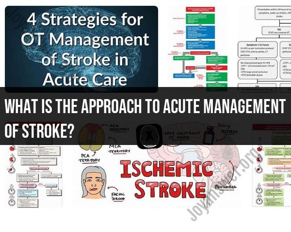 Approaching Acute Stroke Management: Critical Steps