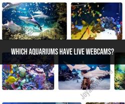 Aquariums with Live Webcams: Virtual Underwater Adventures
