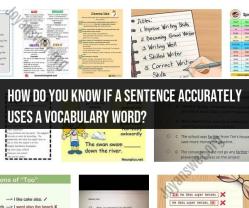 Assessing Accurate Vocabulary Usage in Sentences: A Guide