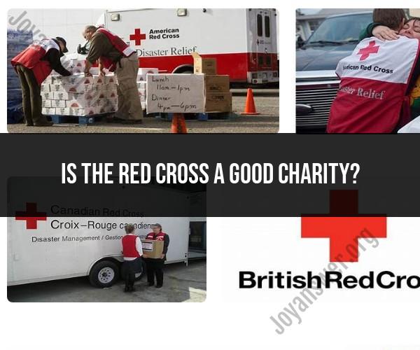 Assessing the Red Cross as a Charity: Is It a Good Choice?