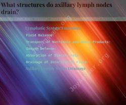 Axillary Lymph Nodes Drainage: Understanding Lymphatic System Functions