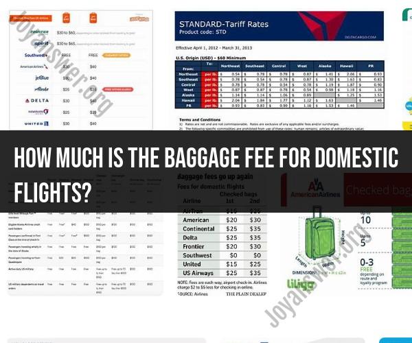 Baggage Fees for Domestic Flights: What to Expect