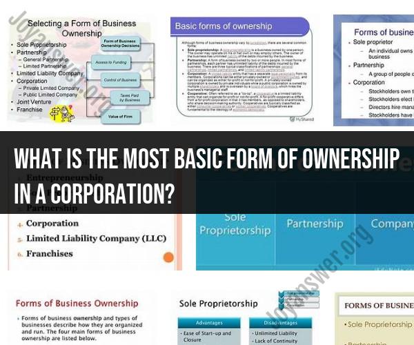 Basic Ownership in a Corporation: Common Stock Explained