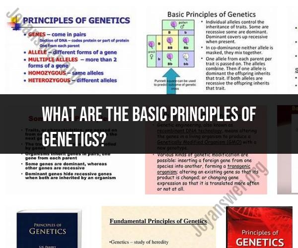 Basic Principles of Genetics: Foundations of Heredity