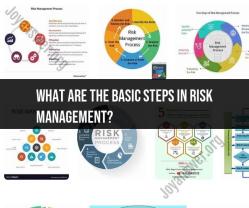 Basic Steps in Risk Management: A Practical Guide