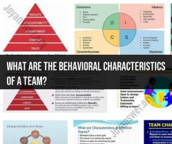 Behavioral Characteristics of Effective Teams: Collaboration and Communication