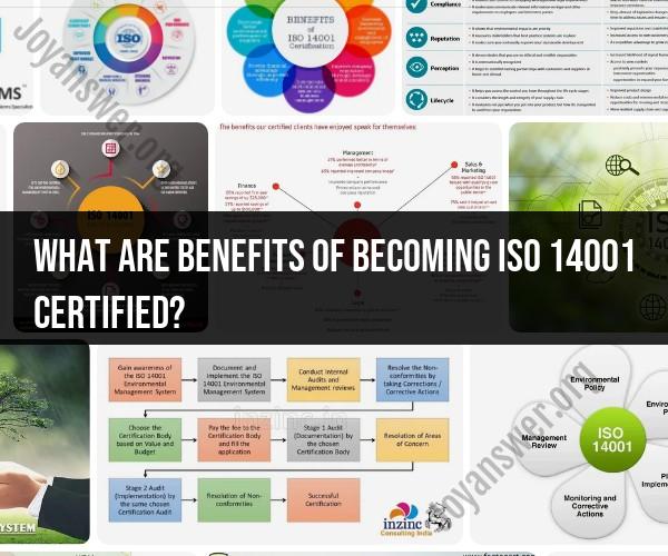 Benefits of ISO 14001 Certification: Environmental Excellence