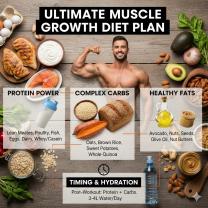 Best Diet Plan for Gaining Muscle