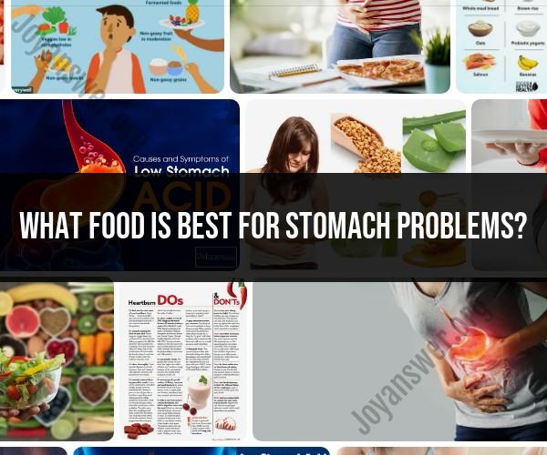 Best Foods for Stomach Problems: Dietary Recommendations
