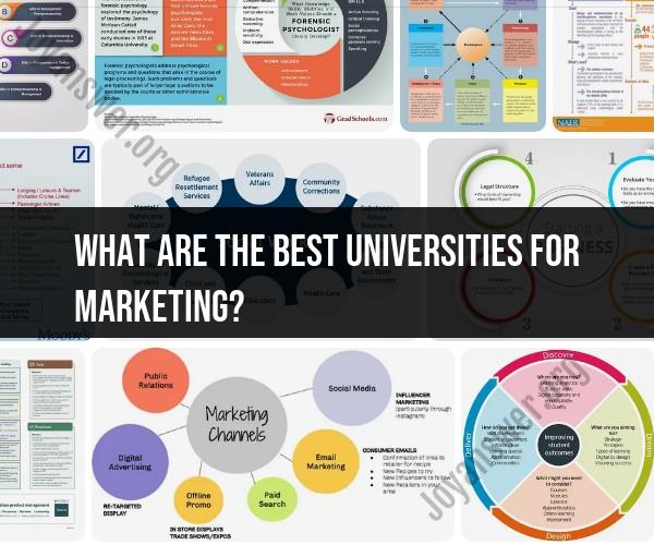 Best Universities for Marketing: Top-Ranked Programs