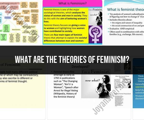Beyond the Surface: Unpacking Theories of Feminism