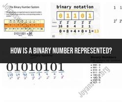 Binary Number Representation: Basics and Principles
