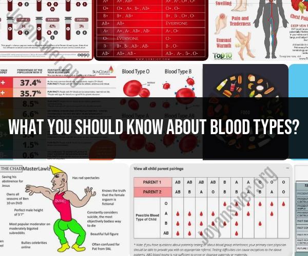 Blood Types: What You Should Know About ABO and Rh Systems