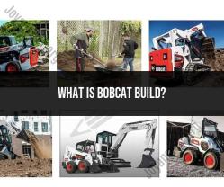 Bobcat Build: Community Service and Volunteerism