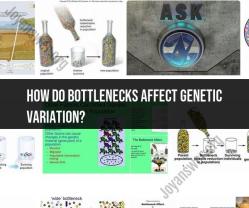 Bottlenecks and Their Impact on Genetic Variation