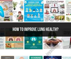 Breathing Life into Your Lungs: Tips for Improving Lung Health