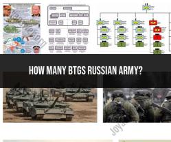 BTGS in the Russian Army: Explained