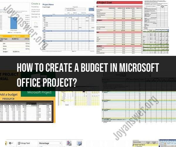 Building a Budget in Microsoft Office Project
