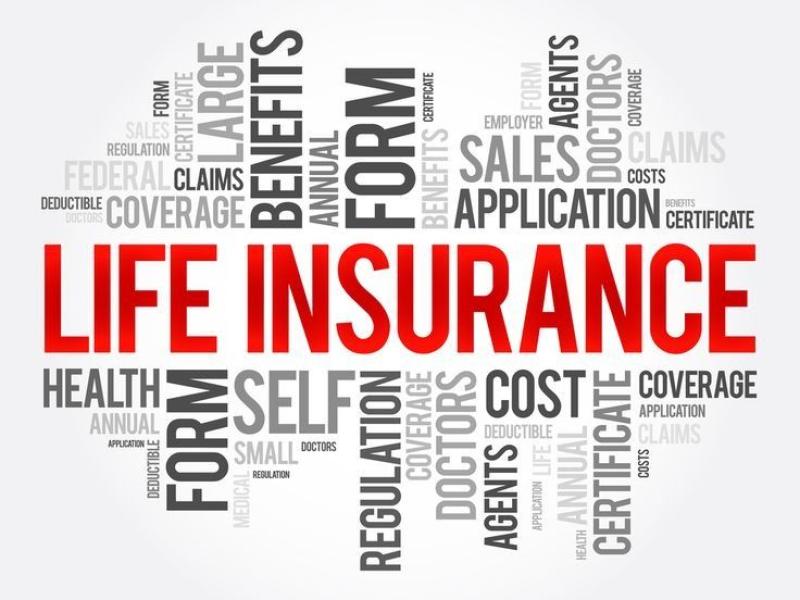 Buying Whole Life Insurance: Choosing a Reliable Company