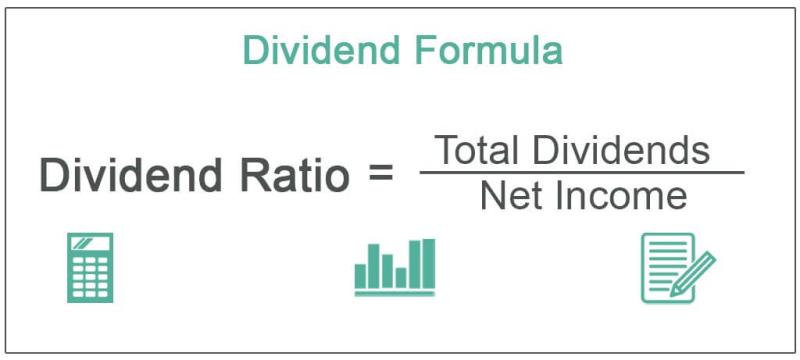 Calculating Annual Dividend: Financial Assessment