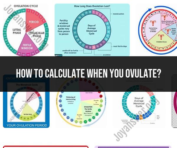 Calculating Ovulation: Methods and Tips