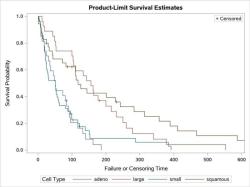 Calculating Restricted Mean Survival Time: Statistical Analysis