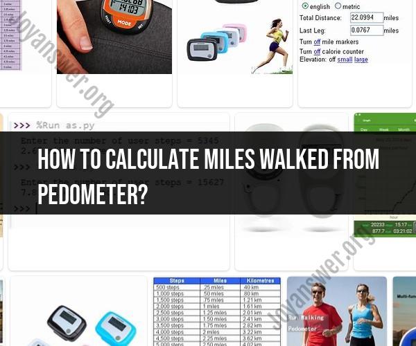 Calculating Walked Miles from a Pedometer: Step Measurement Insights