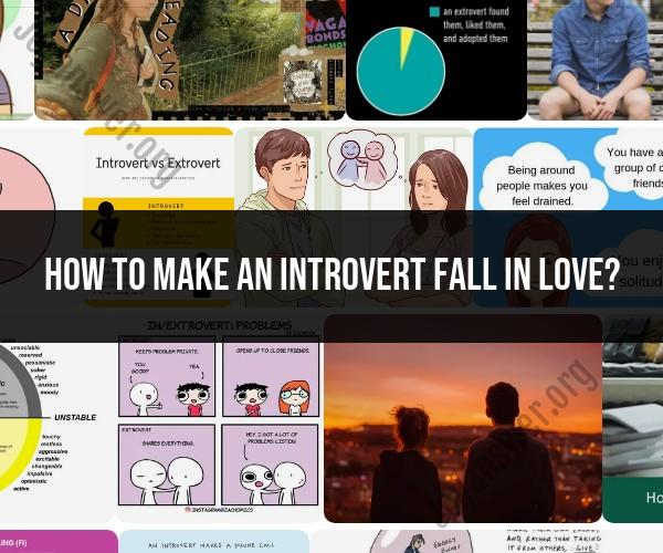 Capturing an Introvert's Heart: Tips for Falling in Love