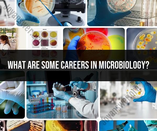 Careers in Microbiology: Professional Opportunities