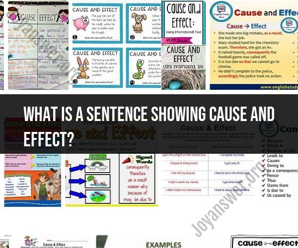 Cause and Effect in Action: A Sentence Example