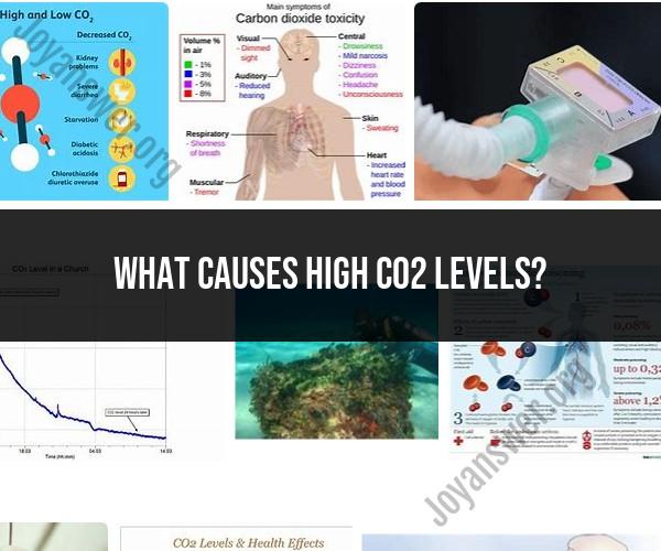 Causes of High CO2 Levels: Sources and Effects