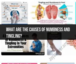 Causes of Numbness and Tingling: Understanding Sensory Issues