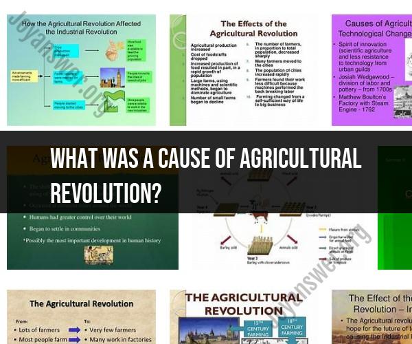 Causes of the Agricultural Revolution: Historical Insights