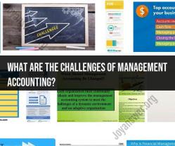 Challenges in Modern Management Accounting: Navigating Complexities